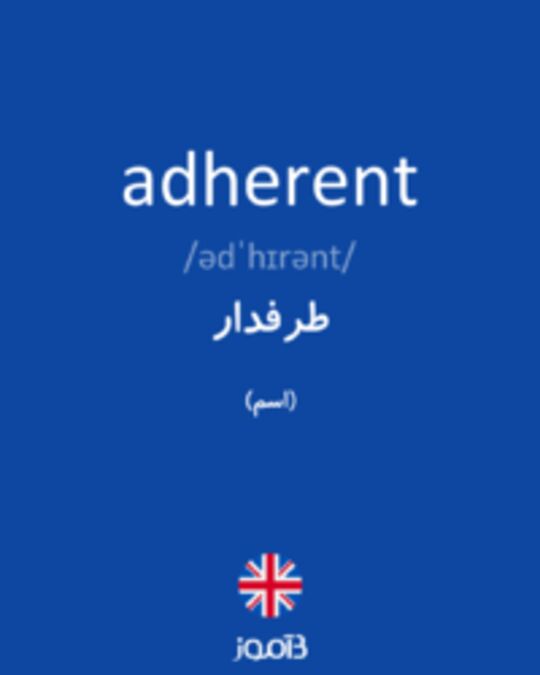  تصویر adherent - دیکشنری انگلیسی بیاموز