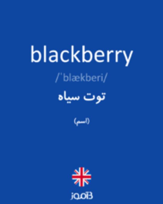 تصویر blackberry - دیکشنری انگلیسی بیاموز