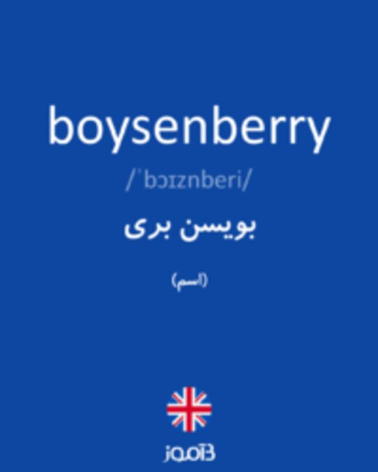  تصویر boysenberry - دیکشنری انگلیسی بیاموز