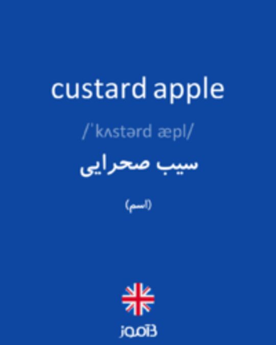  تصویر custard apple - دیکشنری انگلیسی بیاموز