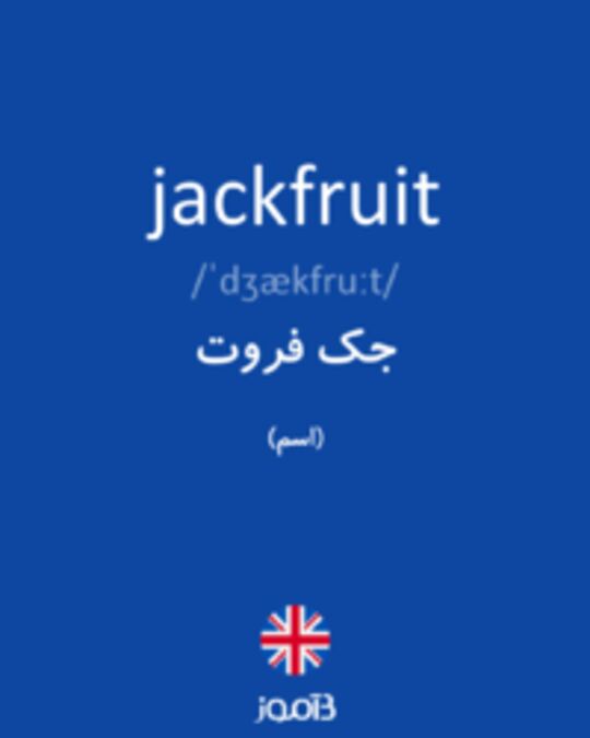  تصویر jackfruit - دیکشنری انگلیسی بیاموز