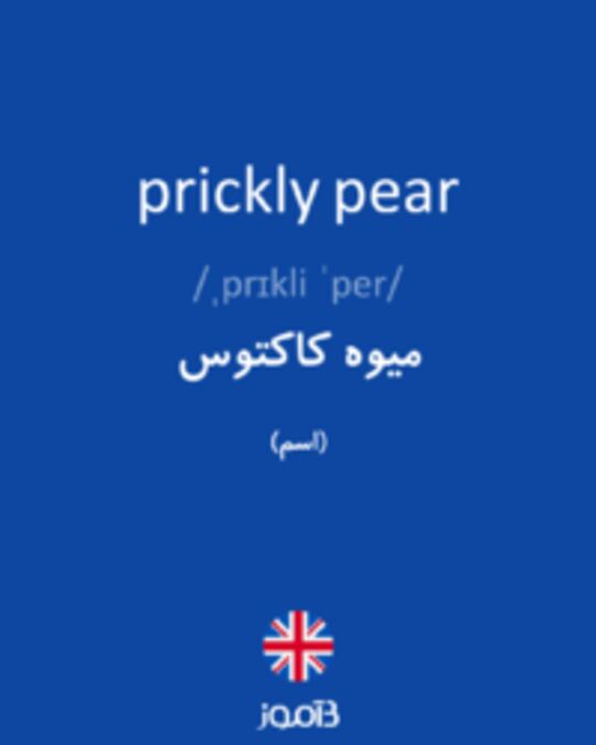  تصویر prickly pear - دیکشنری انگلیسی بیاموز