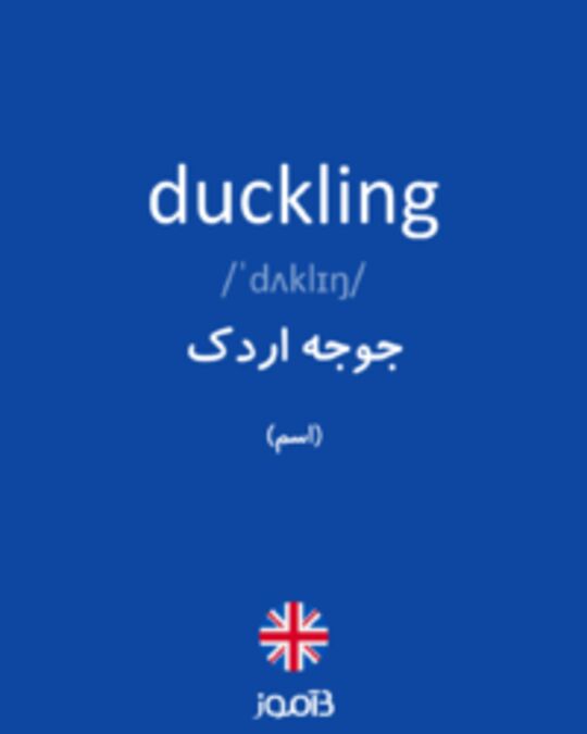  تصویر duckling - دیکشنری انگلیسی بیاموز