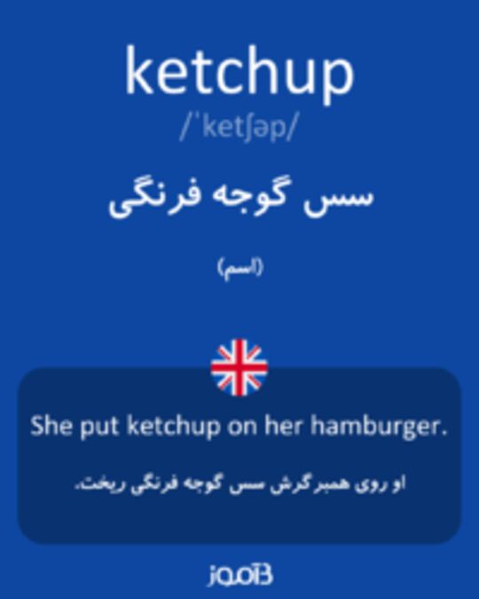 تصویر ketchup - دیکشنری انگلیسی بیاموز