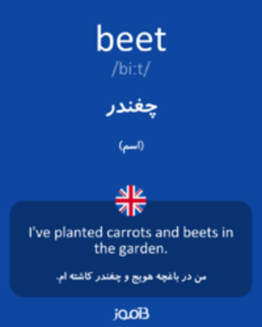  تصویر beet - دیکشنری انگلیسی بیاموز