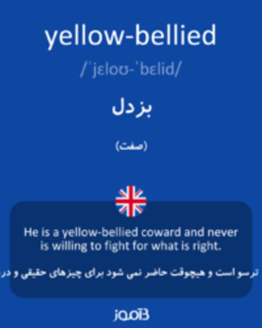  تصویر yellow-bellied - دیکشنری انگلیسی بیاموز