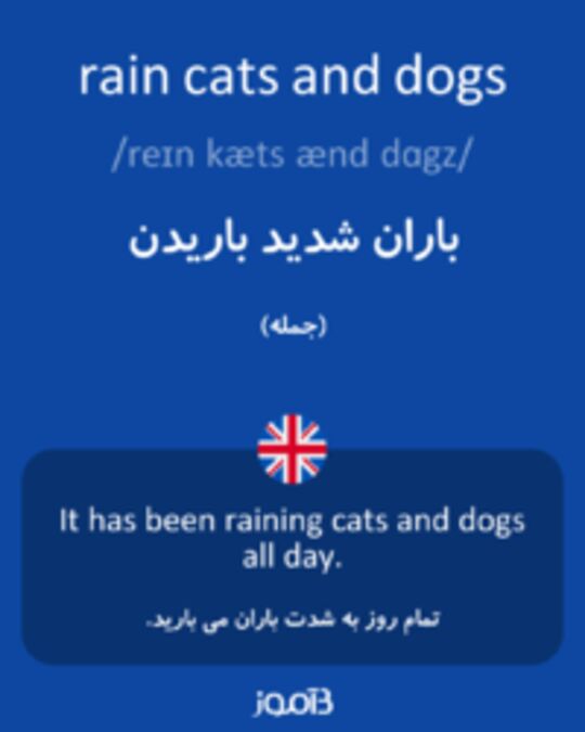  تصویر rain cats and dogs - دیکشنری انگلیسی بیاموز