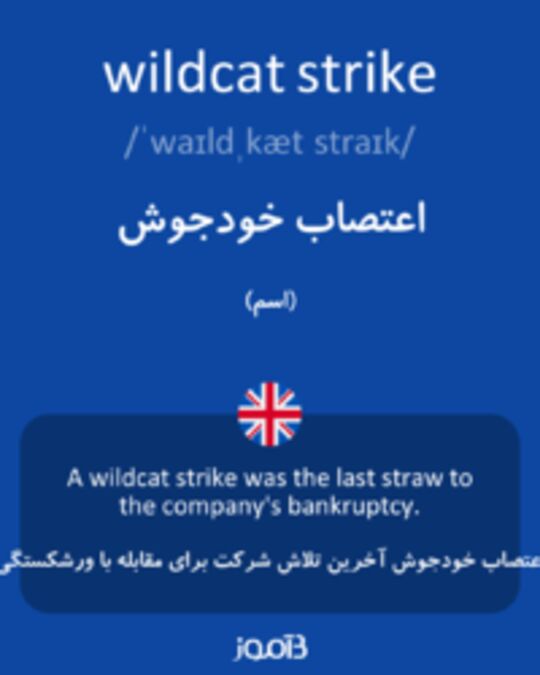 تصویر wildcat strike - دیکشنری انگلیسی بیاموز