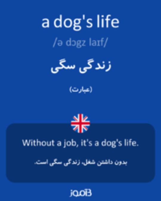  تصویر a dog's life - دیکشنری انگلیسی بیاموز