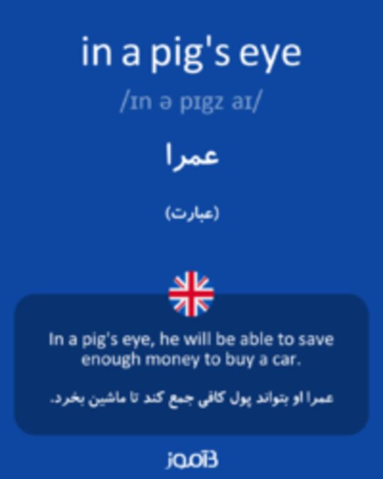  تصویر in a pig's eye - دیکشنری انگلیسی بیاموز
