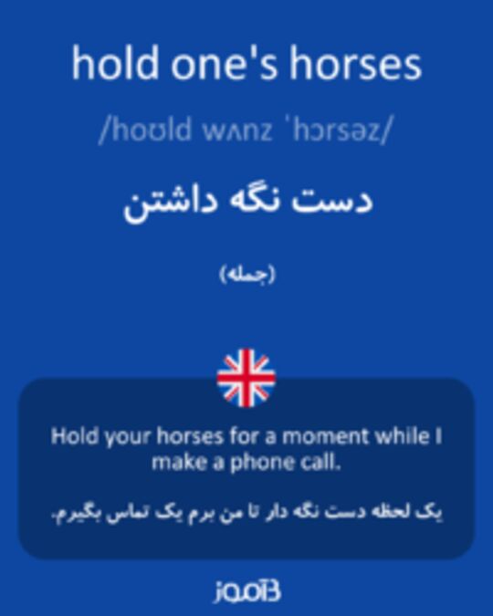 تصویر hold one's horses - دیکشنری انگلیسی بیاموز