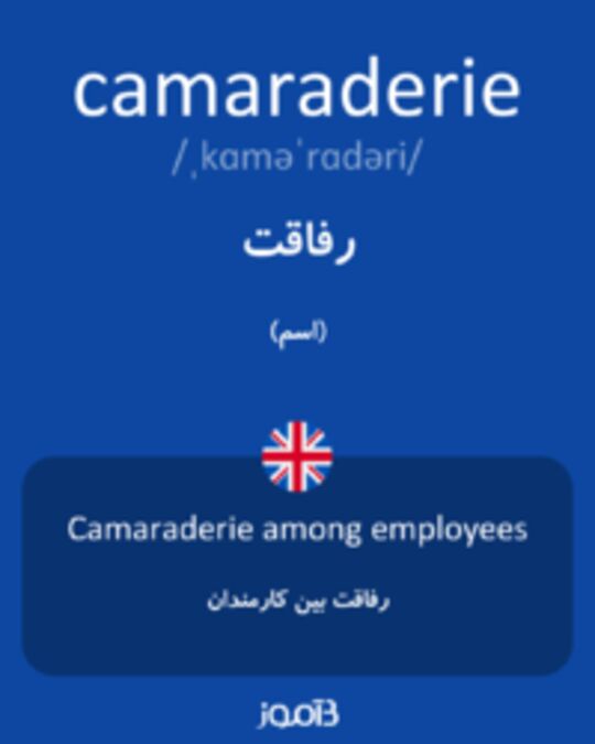  تصویر camaraderie - دیکشنری انگلیسی بیاموز