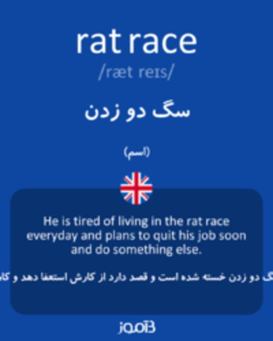  تصویر rat race - دیکشنری انگلیسی بیاموز