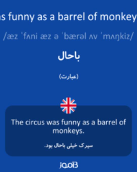  تصویر as funny as a barrel of monkeys - دیکشنری انگلیسی بیاموز