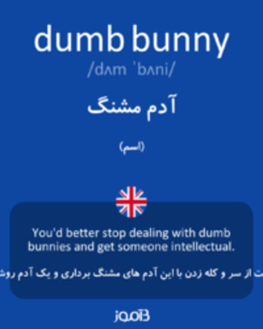  تصویر dumb bunny - دیکشنری انگلیسی بیاموز