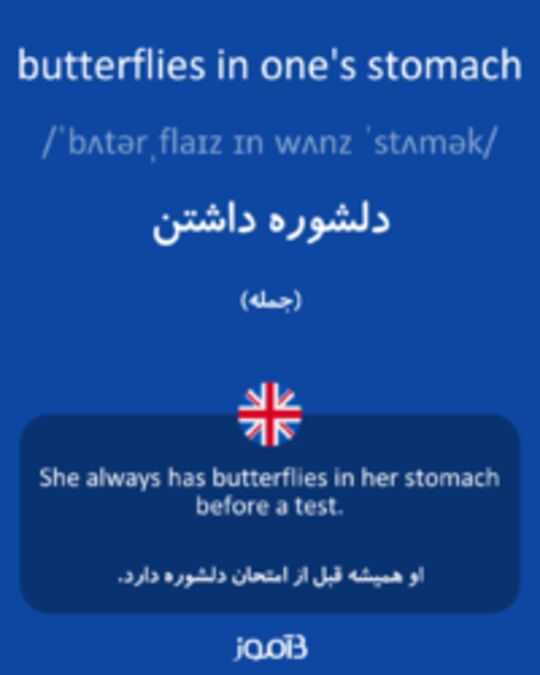  تصویر butterflies in one's stomach - دیکشنری انگلیسی بیاموز