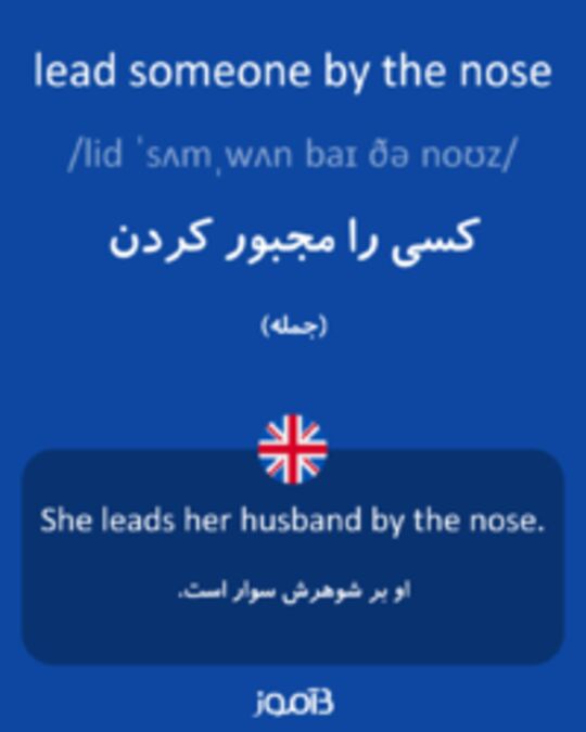  تصویر lead someone by the nose - دیکشنری انگلیسی بیاموز