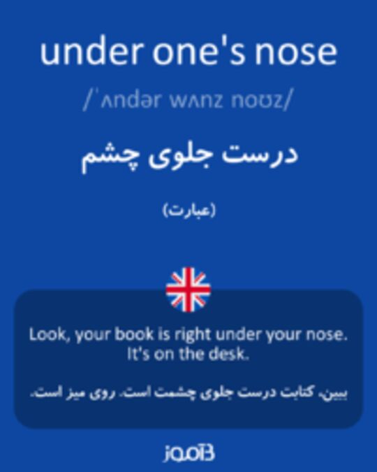  تصویر under one's nose - دیکشنری انگلیسی بیاموز