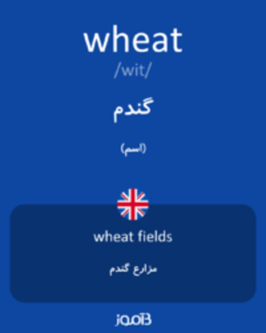  تصویر wheat - دیکشنری انگلیسی بیاموز
