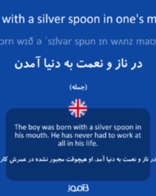  تصویر born with a silver spoon in one's mouth - دیکشنری انگلیسی بیاموز