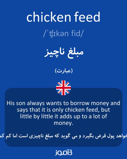  Chicken Feed 