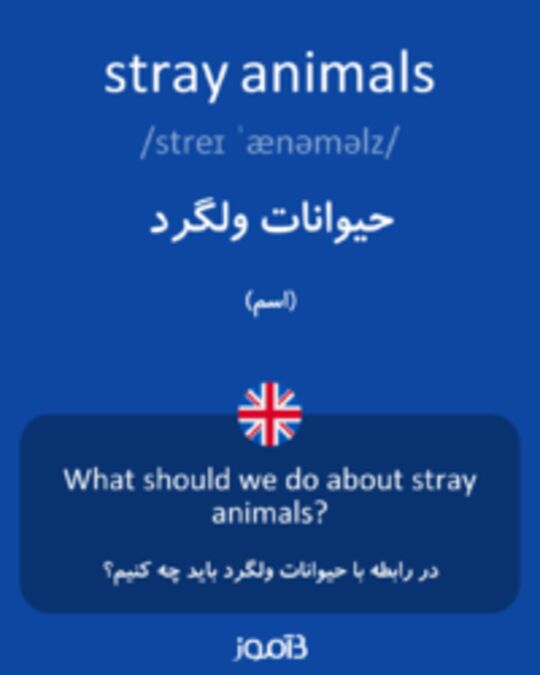  تصویر stray animals - دیکشنری انگلیسی بیاموز