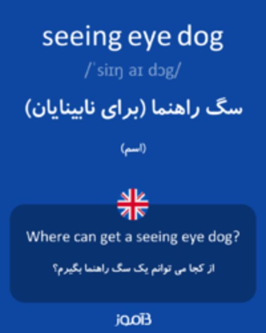  تصویر seeing eye dog - دیکشنری انگلیسی بیاموز