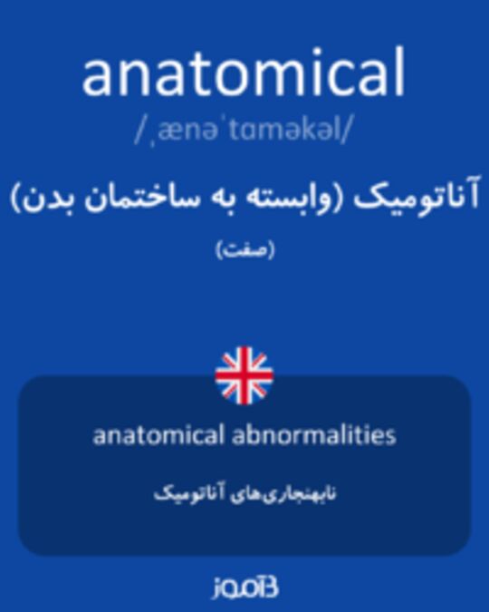  تصویر anatomical - دیکشنری انگلیسی بیاموز