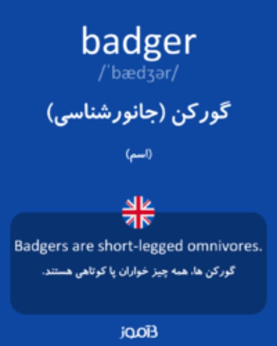  تصویر badger - دیکشنری انگلیسی بیاموز