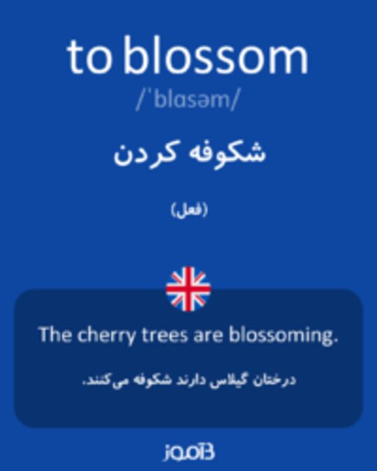  تصویر to blossom - دیکشنری انگلیسی بیاموز