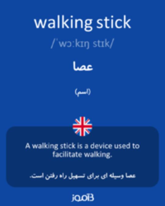  تصویر walking stick - دیکشنری انگلیسی بیاموز