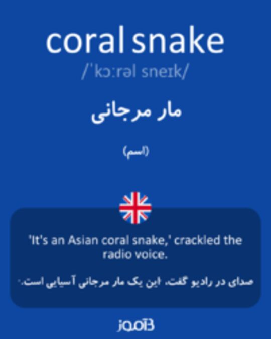  تصویر coral snake - دیکشنری انگلیسی بیاموز