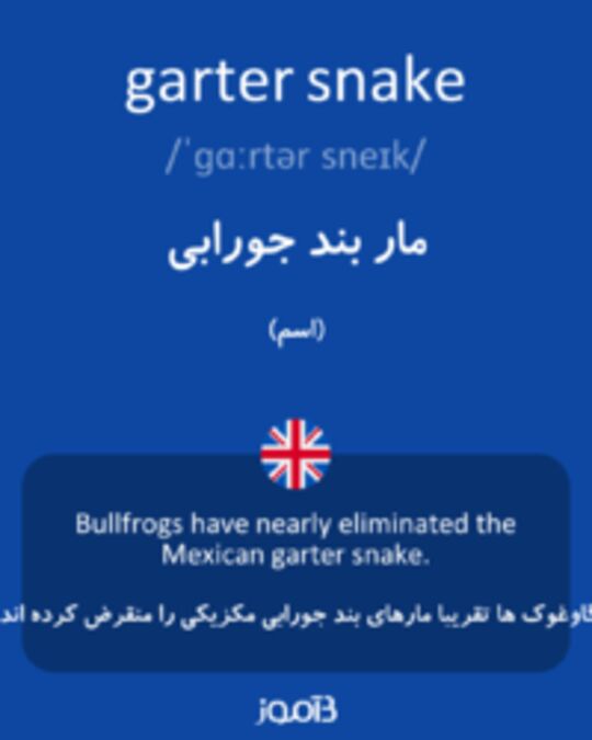 تصویر garter snake - دیکشنری انگلیسی بیاموز