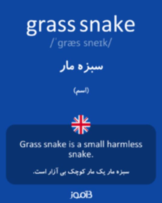  تصویر grass snake - دیکشنری انگلیسی بیاموز
