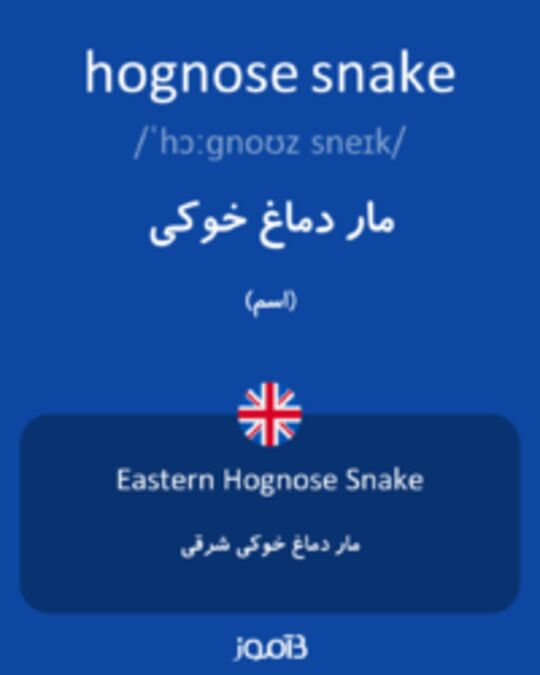  تصویر hognose snake - دیکشنری انگلیسی بیاموز