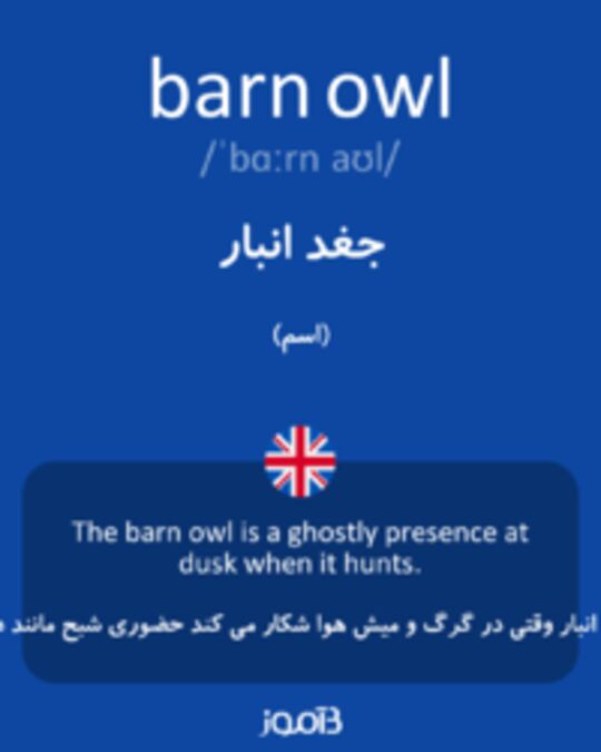  تصویر barn owl - دیکشنری انگلیسی بیاموز