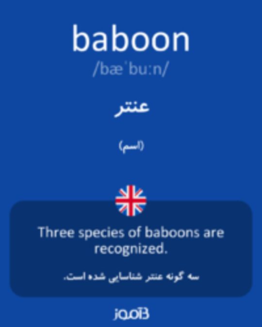  تصویر baboon - دیکشنری انگلیسی بیاموز