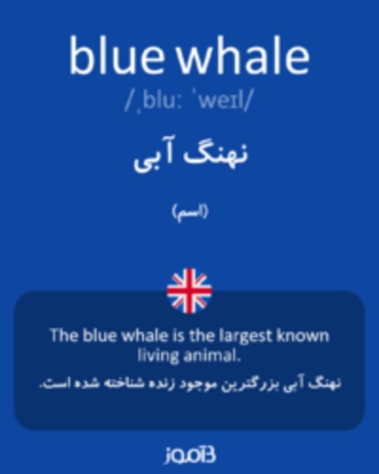  تصویر blue whale - دیکشنری انگلیسی بیاموز