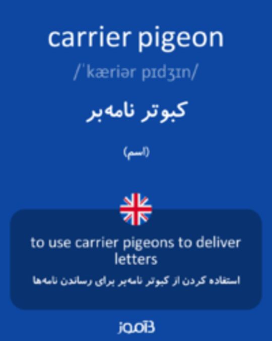  تصویر carrier pigeon - دیکشنری انگلیسی بیاموز