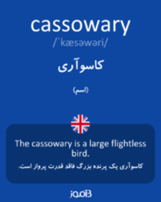  تصویر cassowary - دیکشنری انگلیسی بیاموز