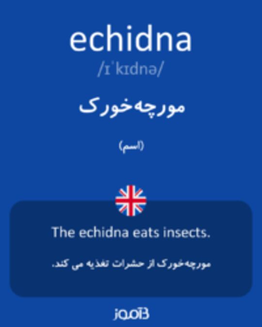  تصویر echidna - دیکشنری انگلیسی بیاموز