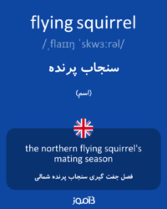  تصویر flying squirrel - دیکشنری انگلیسی بیاموز
