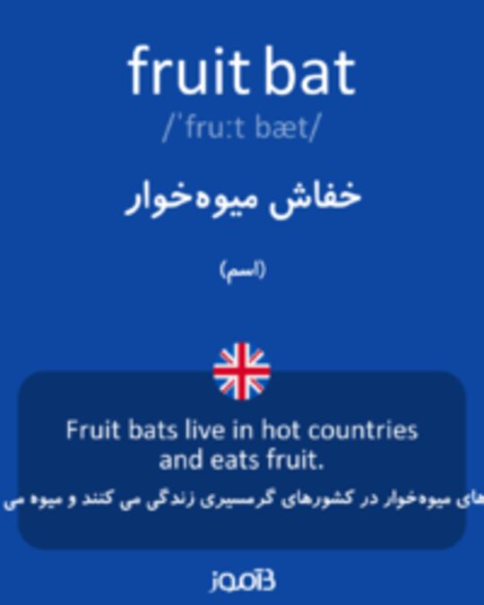  تصویر fruit bat - دیکشنری انگلیسی بیاموز