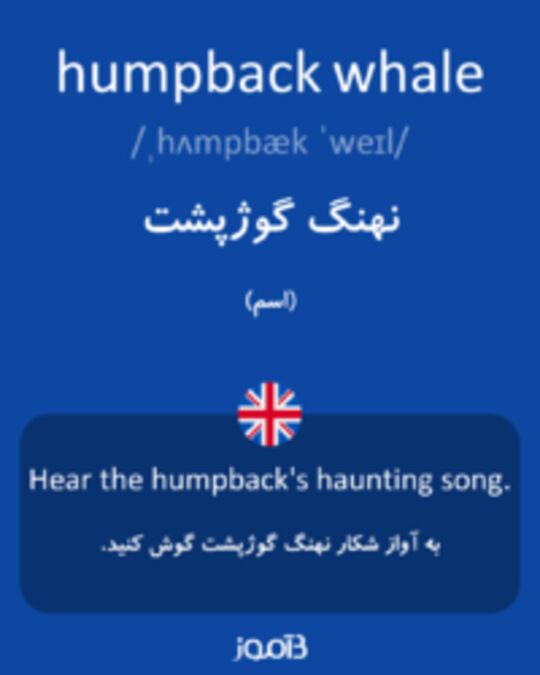  تصویر humpback whale - دیکشنری انگلیسی بیاموز