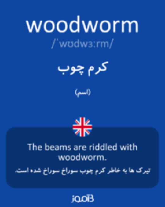  تصویر woodworm - دیکشنری انگلیسی بیاموز