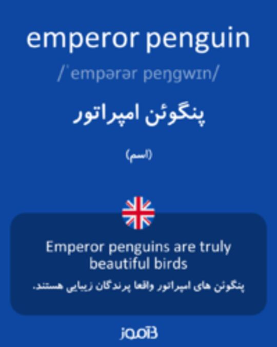  تصویر emperor penguin - دیکشنری انگلیسی بیاموز