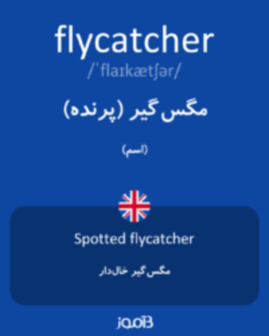  تصویر flycatcher - دیکشنری انگلیسی بیاموز
