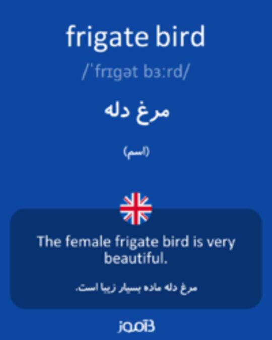  تصویر frigate bird - دیکشنری انگلیسی بیاموز
