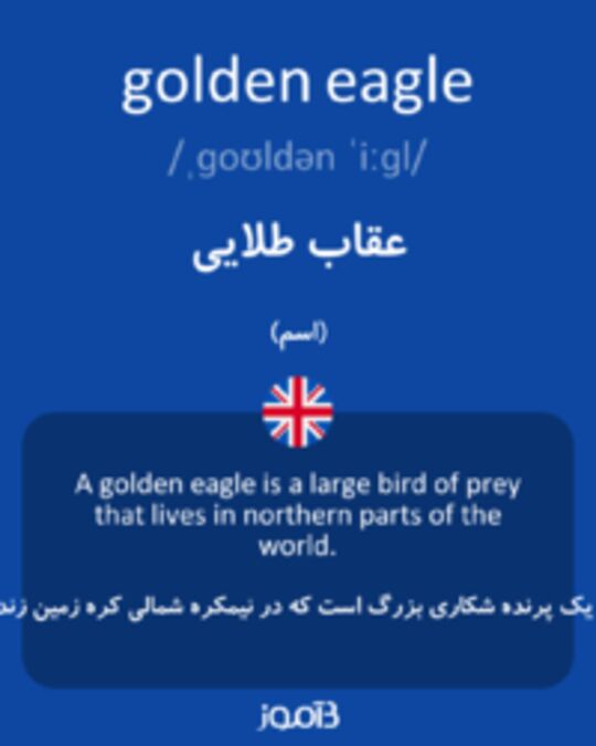  تصویر golden eagle - دیکشنری انگلیسی بیاموز