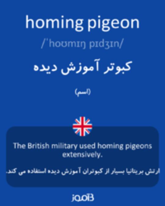  تصویر homing pigeon - دیکشنری انگلیسی بیاموز